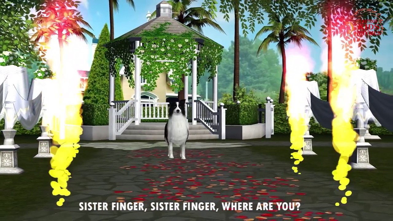 Finger Family Nursery Rhymes | Dog Cartoon Finger Family Songs | Cartoon Kids Rhymes