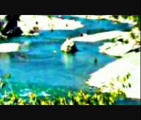 Vaske Curri - Ajmali te rente pika