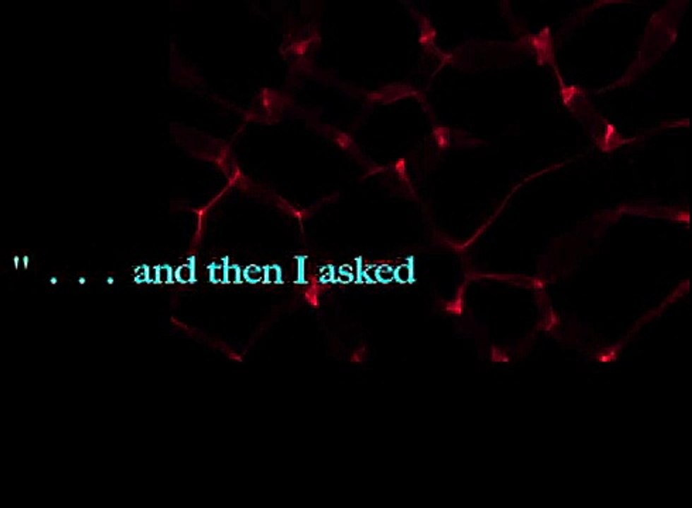 Yes, Yes, Yes, I will