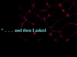 Yes, Yes, Yes, I will