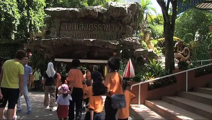 OMG!!! Girl gone crazy with Crocodile