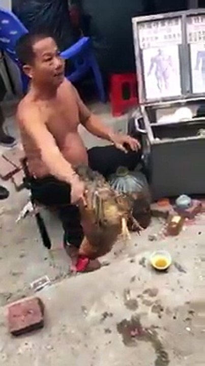 Funny video showing chick magic