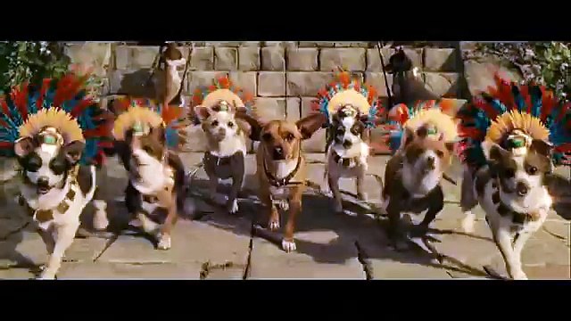 Le Chihuahua de Beverly Hills