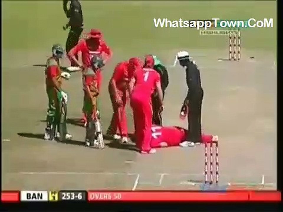 omg accident in cricket match
