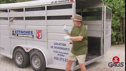 Explosive Elephant Prank