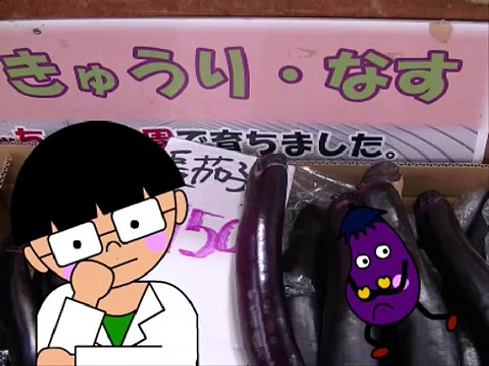 なすびのうた(Dailymotion channel JapaneseChildrenSongs).wmv