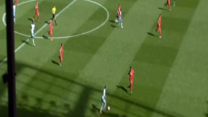 Jack Colback Goal Liverpool vs Newcastle 2-2 BPL 2016
