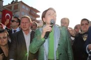 Meral Akşener: Seçilirsem Bunlar Ot Yolacak