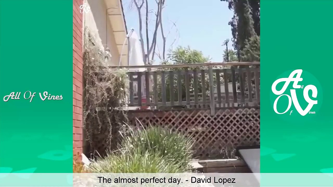 Funny Vines September 2015 (Part 3) | Funniest Vine Compilation