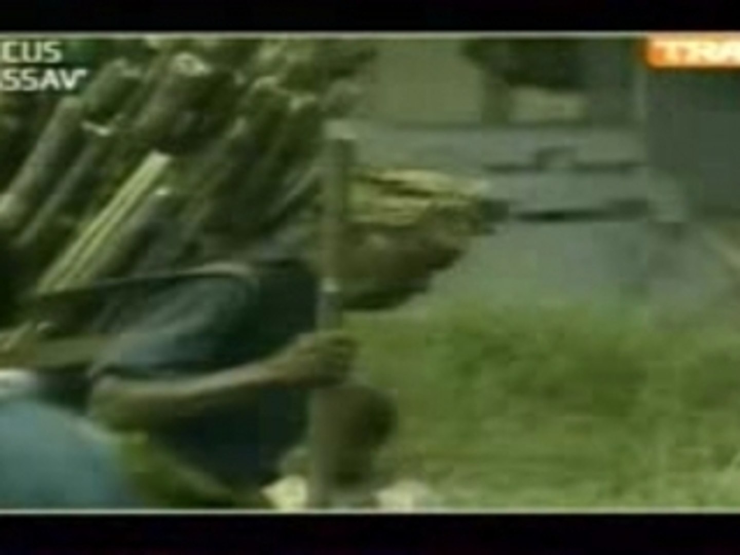 Kassav'-Sye bwa