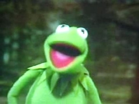 SIMPLE KID its not easy being green