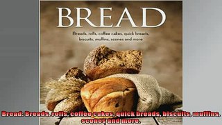 Free PDF Downlaod  Bread Breads rolls coffee cakes quick breads biscuits muffins scones and more  BOOK ONLINE