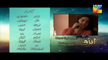 Abro Episode 20 Promo Hum TV Drama 23 Apr 2016