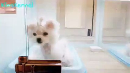 호계동출장안마 ☞공일공‚구구공칠‚공공일공☜출장안마♨ 호계동출장마사지