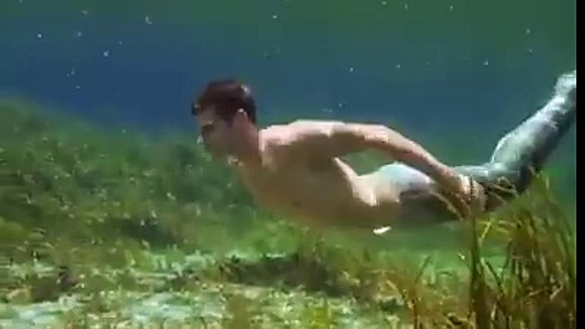 460 Penampakan Hantu Putri Duyung Terbaik