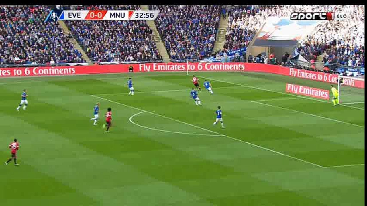 Marouane Fellaini Goal HD - Everton 0-1 Manchester United  - 23-04-2016 FA Cup