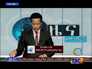 Amhara TV News