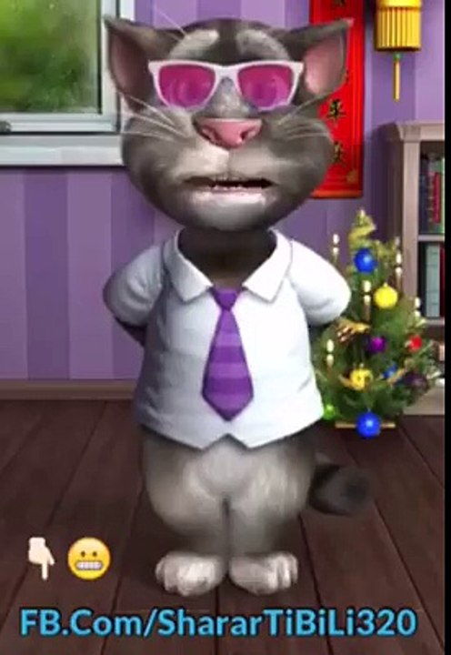 tom cat funny video 1