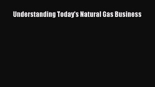 Download Understanding Today's Natural Gas Business PDF Online