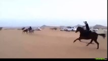 You just can't trust camels and horses