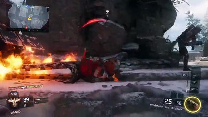 BO3 Double Weapon XP (34)