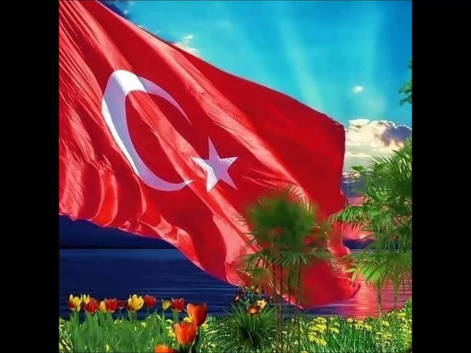 özel tim