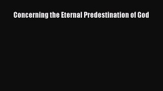 [Read Book] Concerning the Eternal Predestination of God  EBook