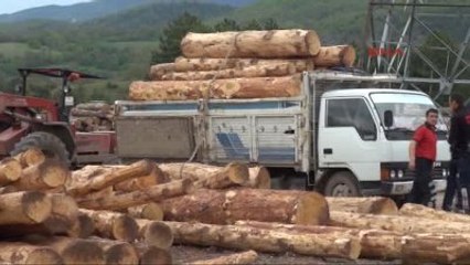 Bolu Tomruğun Altında Kalan Kamyon Şoförü Yaralandı