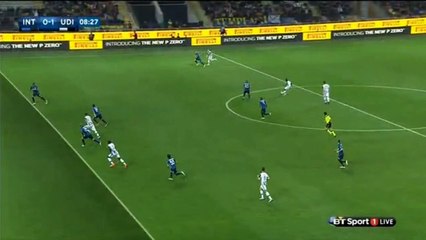 Cyril Thereau Goal - Inter Milan 0-1 Udinese - 23.04.2016