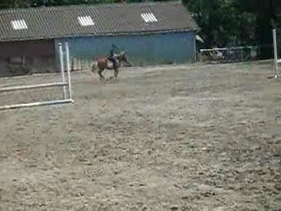 parcours de CSO pour le champion de france