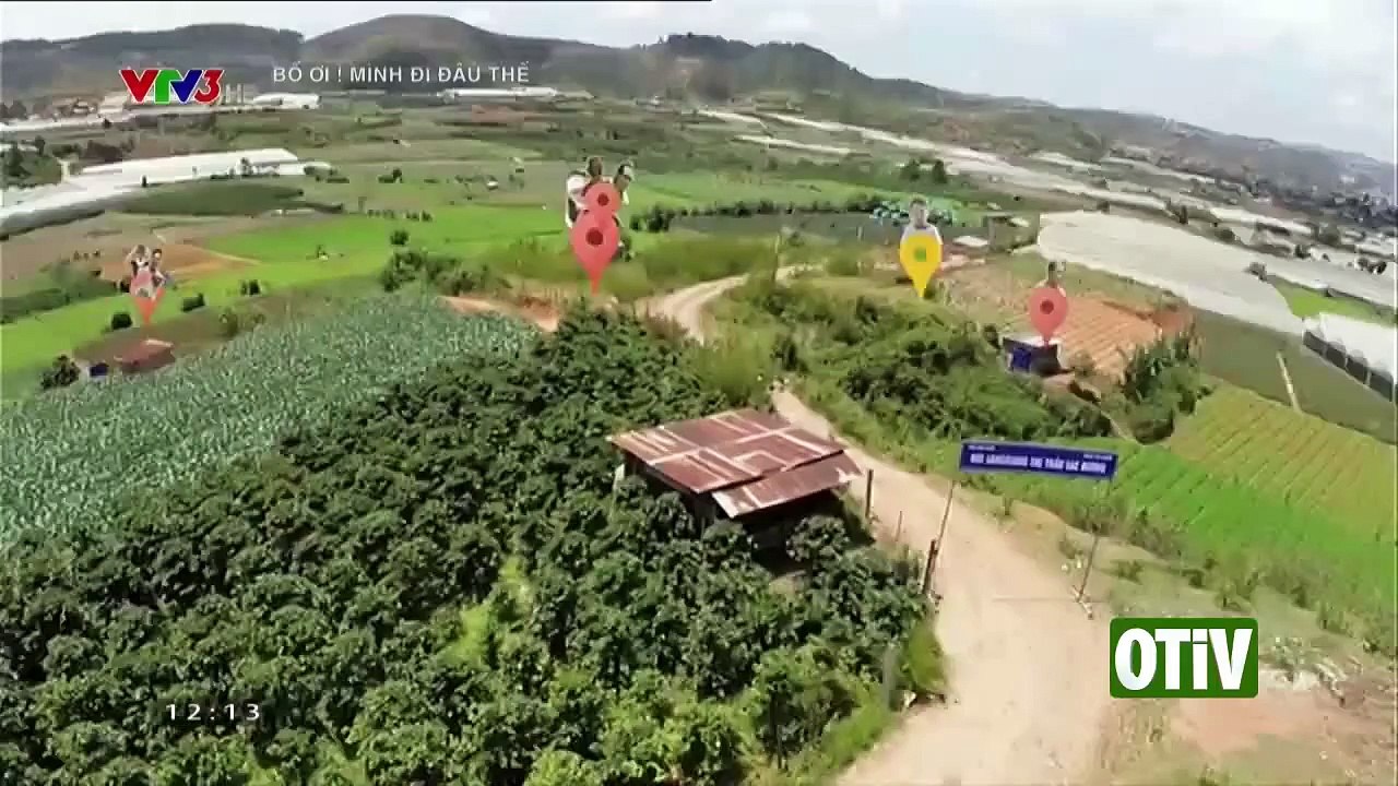 BỐ ƠI! MÌNH ĐI ĐÂU THẾ: TẬP 5 - CÁC BÉ RỦ NHAU TÌM CHỦ CHO CHÚ CHÓ L�