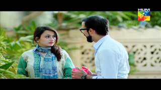 Sehra Main Safar Episode 18 Full HUM TV Drama 22 April 2016 => MUST WATCH