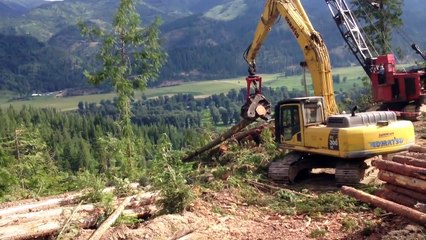 Harvesting Head Komatsu 398 on Komatsu PC300 Forest Machine