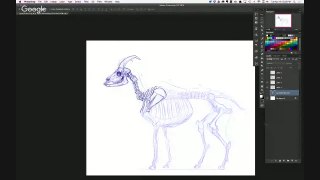 Animal & Creature Drawing Jam