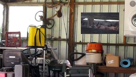 shed - video dailymotion