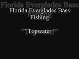 Florida Everglades Topwater Bass Fishing Vol.1