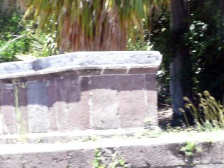 ST. KITTS 035 P1080804