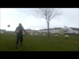 WELSH BOY ATTACKS SHEEP WITH MOP