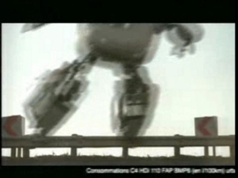 Citroen HDI 110 BMP6 FAP