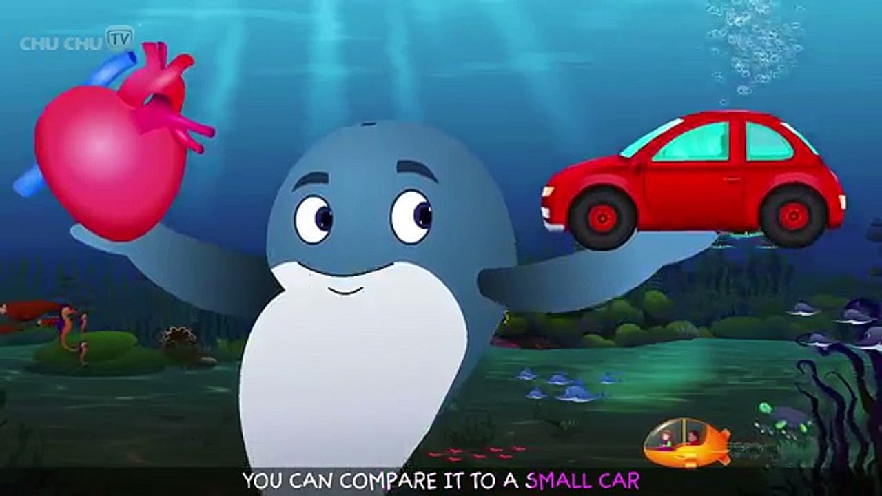 Blue Whale Nursery Rhyme   ChuChuTV Sea World   Animal Songs & Nursery Rhymes For Children