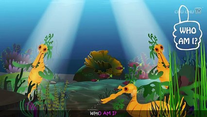 Leafy Sea Dragon Nursery Rhyme   ChuChuTV Sea World   Animal Songs & Nursery Rhymes For Children