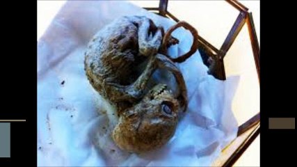 Açıklanamayan Olaylar Bölüm 4 Final (Meksikalı Çiftçinin Bulduğu Uzaylı Bebek)