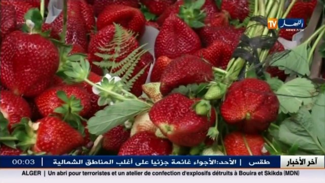 آخر أخبار الجزائر العميقة في الموجز المحلي ليوم 23 أفريل 2016