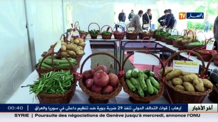 فلاحة  : دعم استثمارات الشباب.. ما الذي تحقق