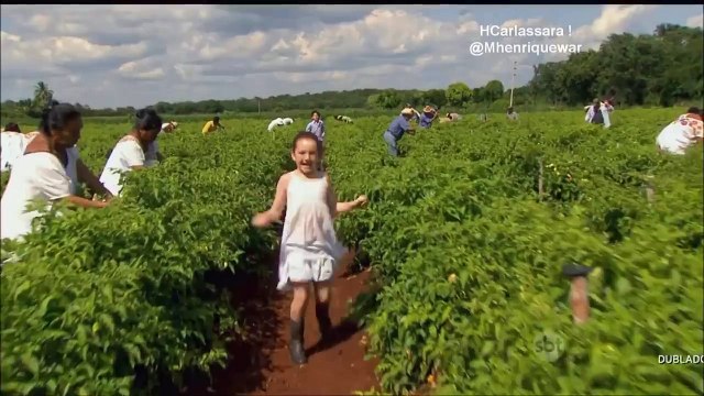 Abertura Oficial da novela Abismo de Paixão no SBT | HD (SBT, 2016)