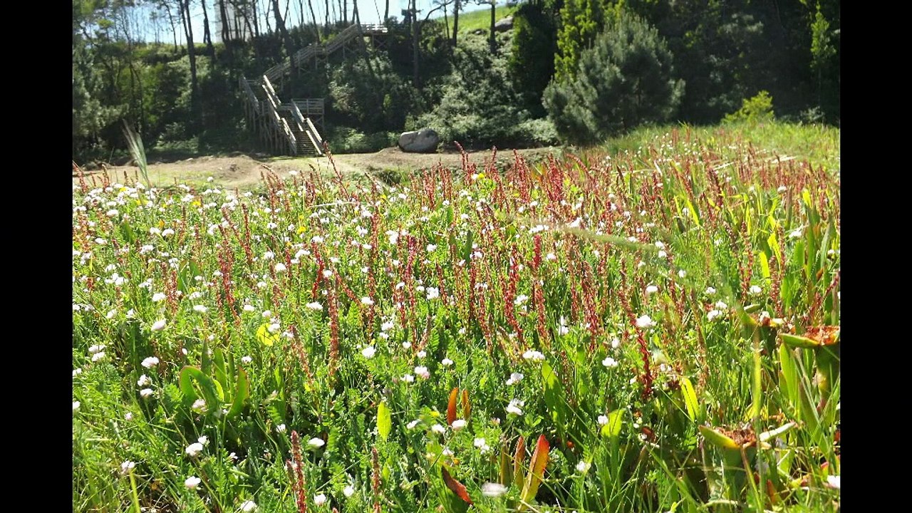 c'est l'printemps