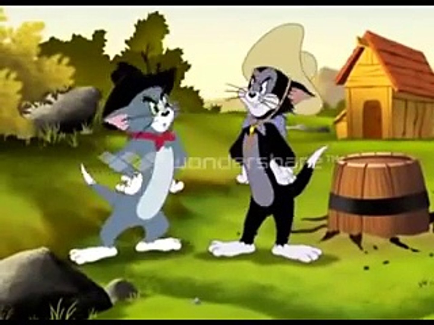 Tom and Jerry - (The Gold) - video Dailymotion
