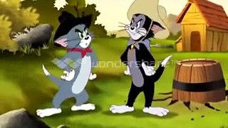 Tom and Jerry  - (The Gold)