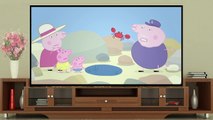 TimeForKidsTV | Peppa Pig - Rock Pools (clip)