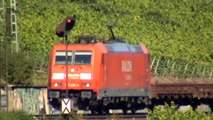 Züge bei Hattenheim am Rhein, MRCE 189, 101, 4x 185, 427, 4x 428